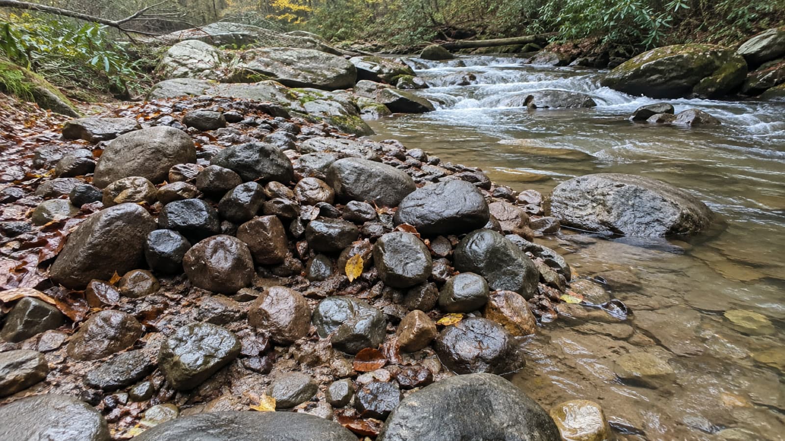Wet cobbles at the head of a gravel bar